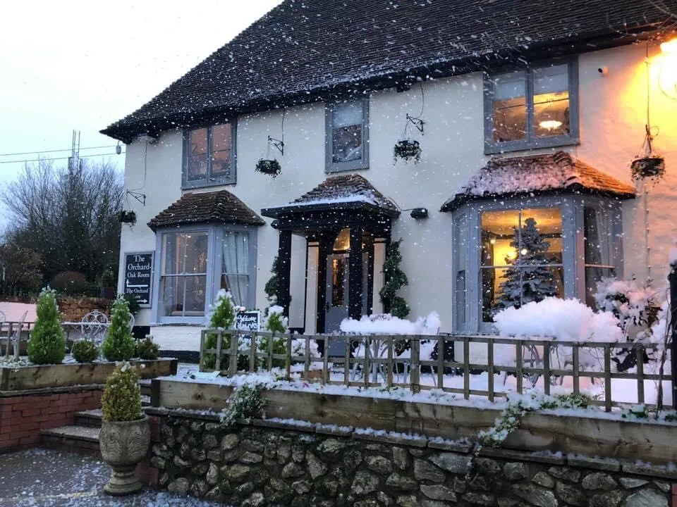 The Orchard Suite - Image 2